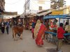 Pushkar 010