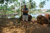 Goa 036