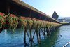 Lucerne 044