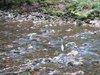 DSC04809
