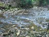 DSC04806