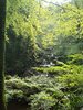 DSC04790