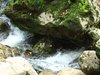 DSC04780