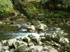 DSC04781