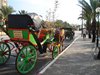 DSC02625