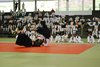 CSC_0991