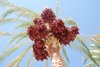 DSC_0837
