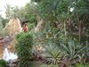 DSC03477