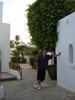 DSC03380