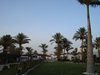 DSC03364