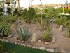 DSC03390