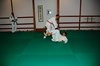 JMB_3729