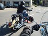 DSC04178