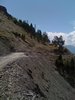 Photo 068