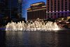 DSC_0641