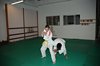 JMB_3538