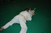 JMB_3547
