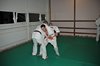 JMB_9615
