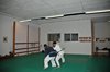 JMB_4125