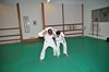 JMB_6832