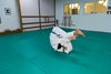 Examen_Vanina_2Kyu_123