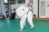 Examen_Gregoire_4Kyu_046