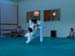 Ju-Jitsu