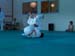 Ju-Jitsu