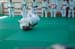 Ju-Jitsu