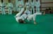 Ju-Jitsu