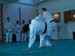 Ju-Jitsu