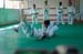 Ju-Jitsu