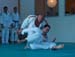 Ju-Jitsu