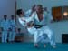 Ju-Jitsu