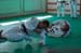 Ju-Jitsu