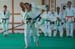 Ju-Jitsu