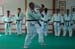 Ju-Jitsu