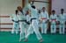 Ju-Jitsu