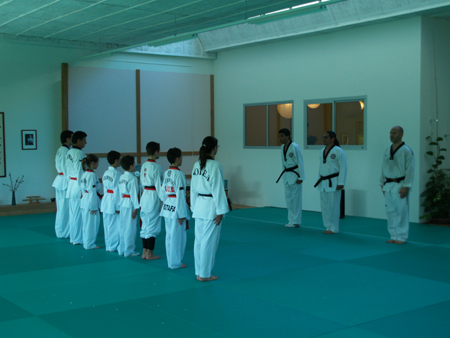 Taekwondo