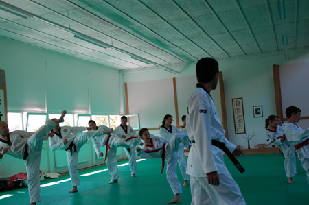 Taekwondo