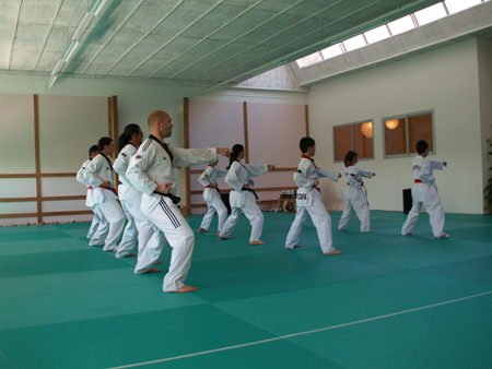 Taekwondo
