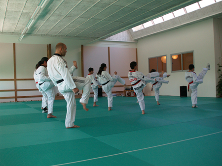 Taekwondo