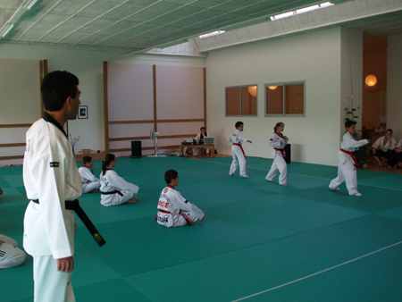 Taekwondo