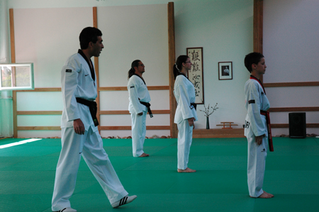 Taekwondo