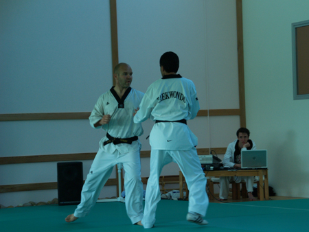 Taekwondo