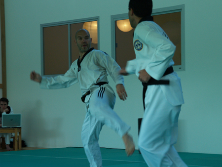 Taekwondo