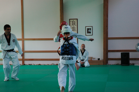 Taekwondo