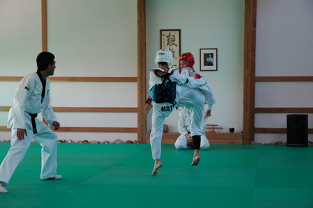 Taekwondo