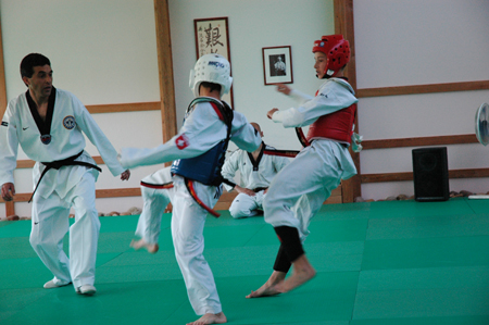 Taekwondo