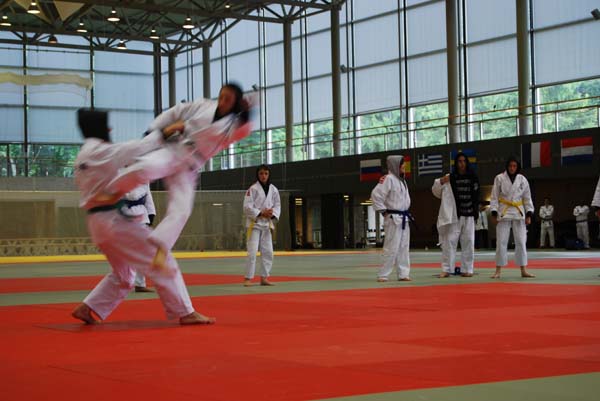 Ju-Jitsu